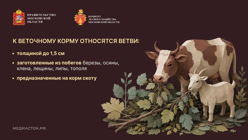 Недревесные ресурсы для собственных нужд Горизонталь 08