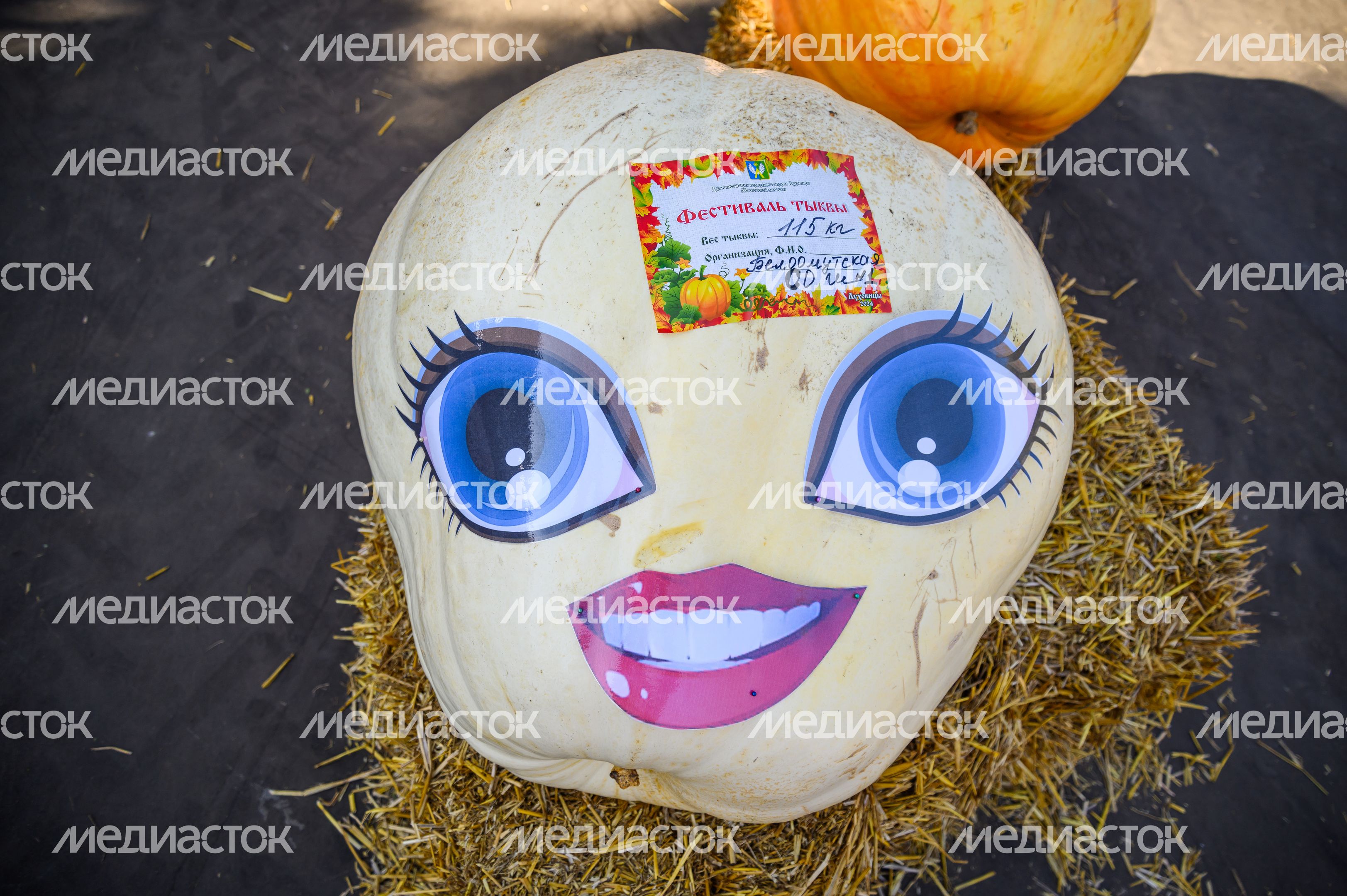 Выставка-ярмарка «Дары Подмосковья» в Луховицах Выставка-ярмарка «Дары Подмосковья» в Луховицах