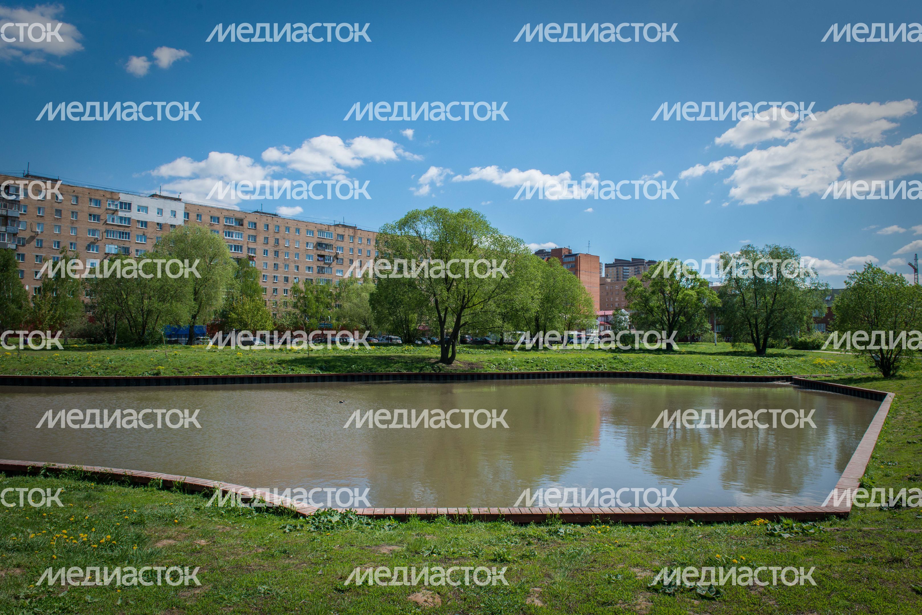 Пруд в Долгопрудном