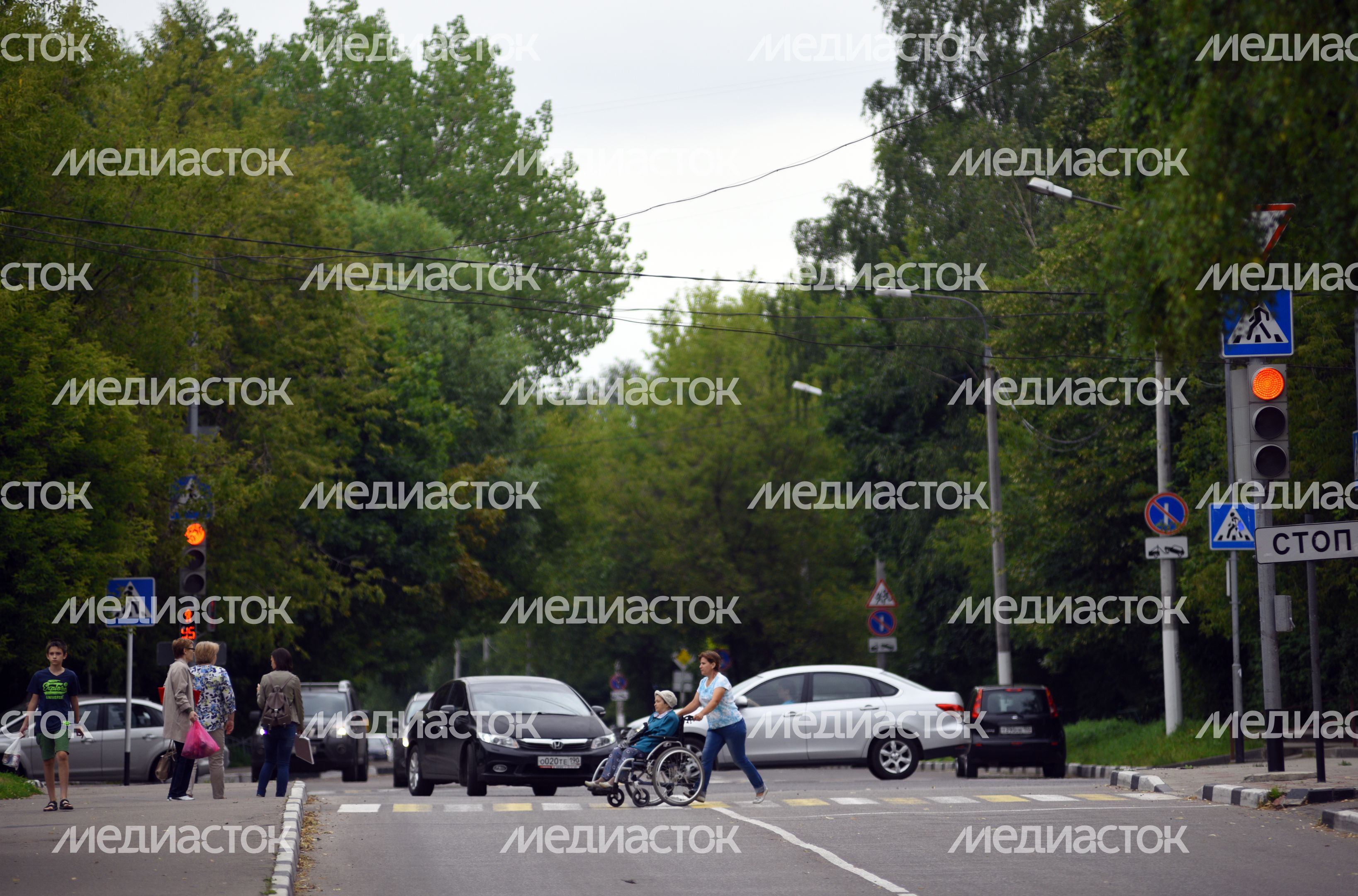 Пешеходный переход в Долгопрудном