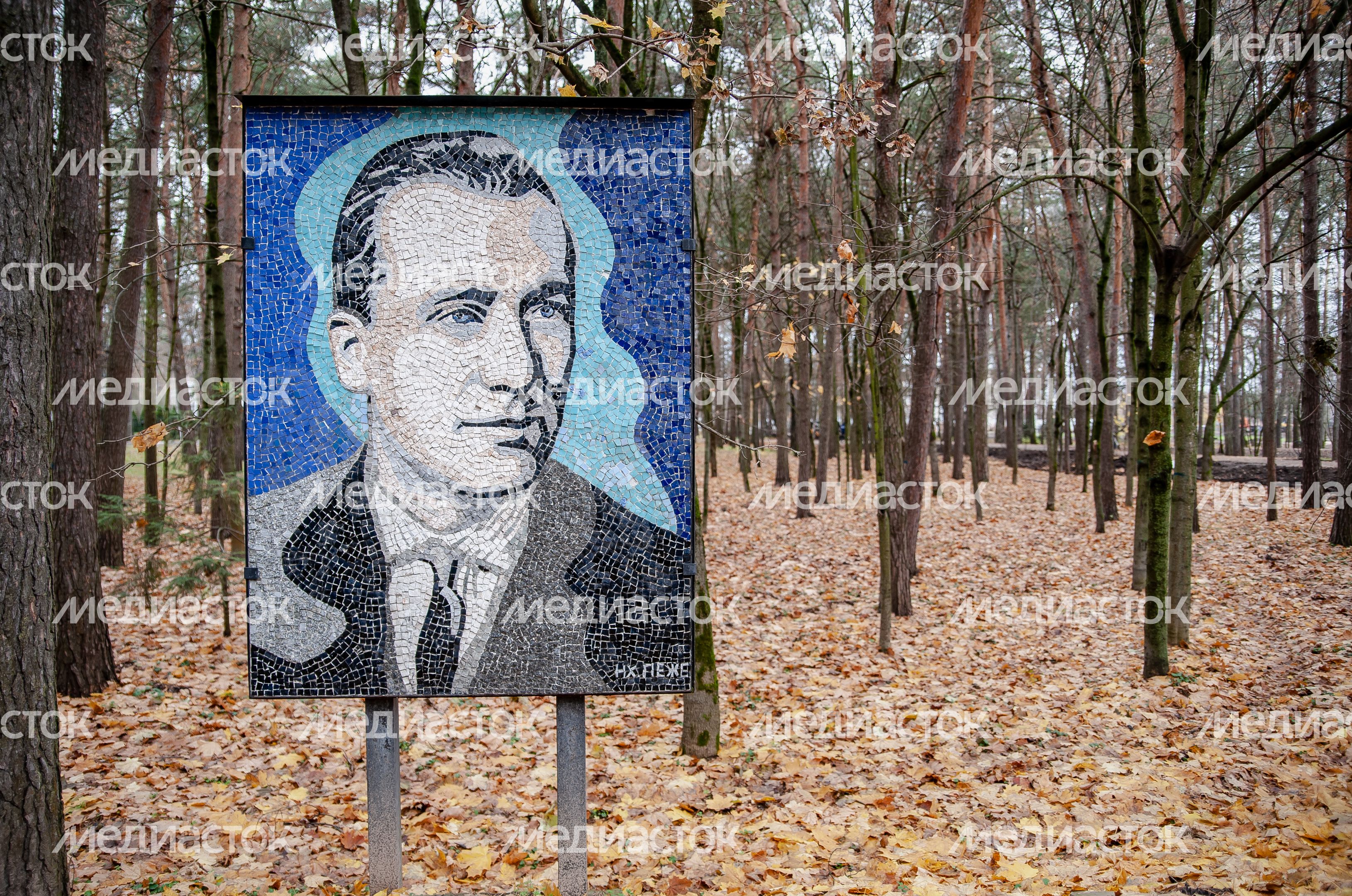Виды города Дубна
