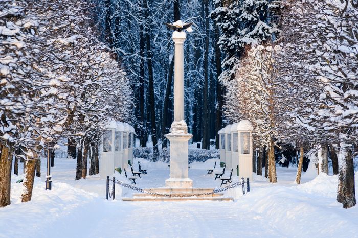 Красногорск. Усадьба «Архангельское». Зима