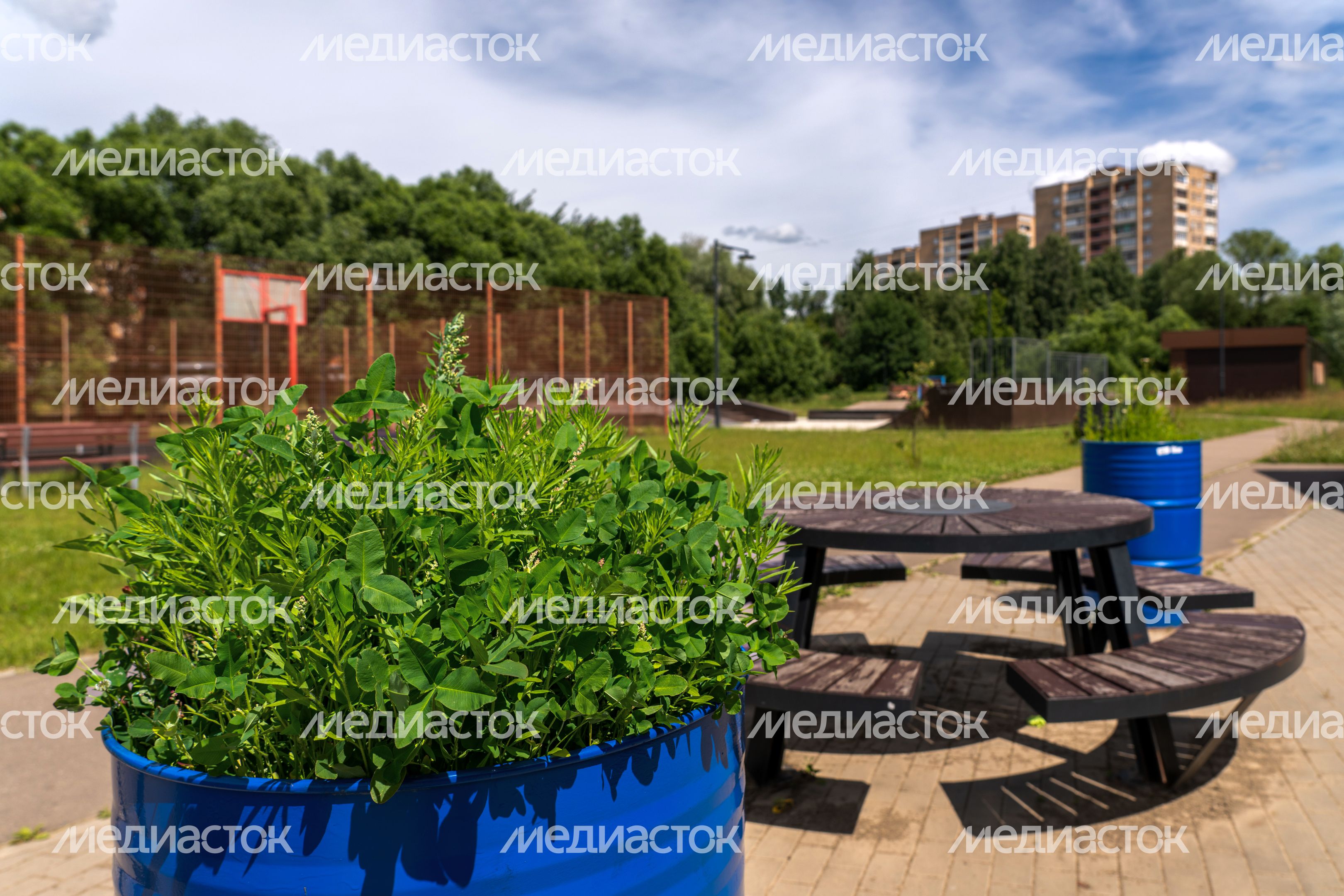 Парк у набережной реки Песочной в Истре