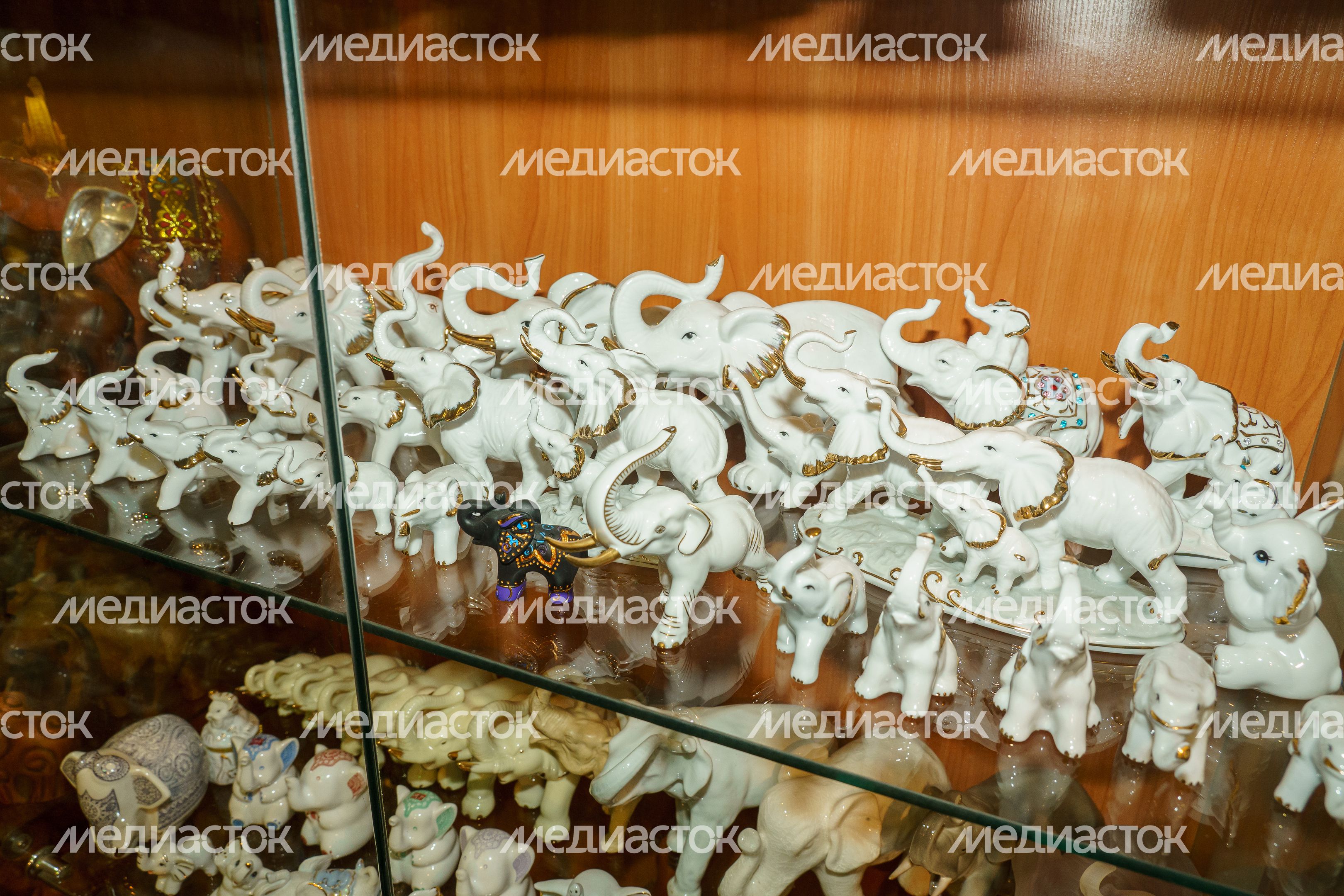 Жуковский. Пантелеимоновский Благовест. Музей слонов Жуковский. Пантелеимоновский Благовест. Музей слонов