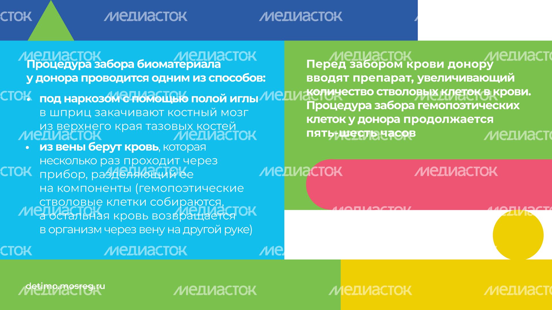 как_стать_донором_костного_мозга__горизонталь_11.jpg