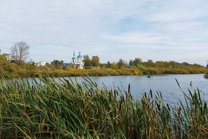Церковь Спаса Нерукотворного Образа в Киово округа Лобня