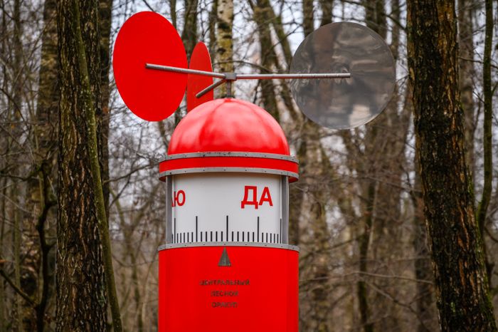 Центральный лесной оракул дуэта «МишМаш» в парке Малевича