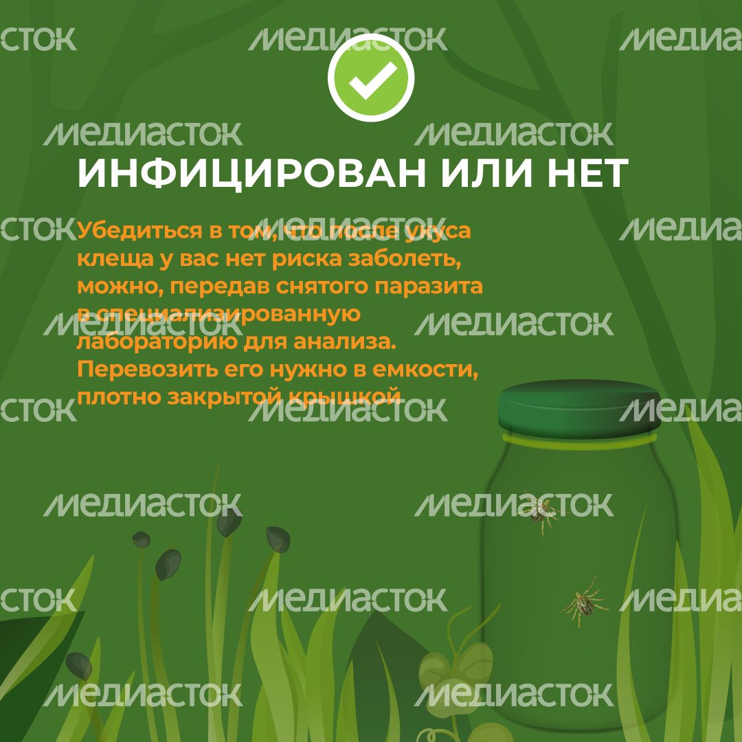 комлесхоз_клещи_кв_8