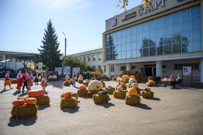 Выставка-ярмарка «Дары Подмосковья» в Луховицах