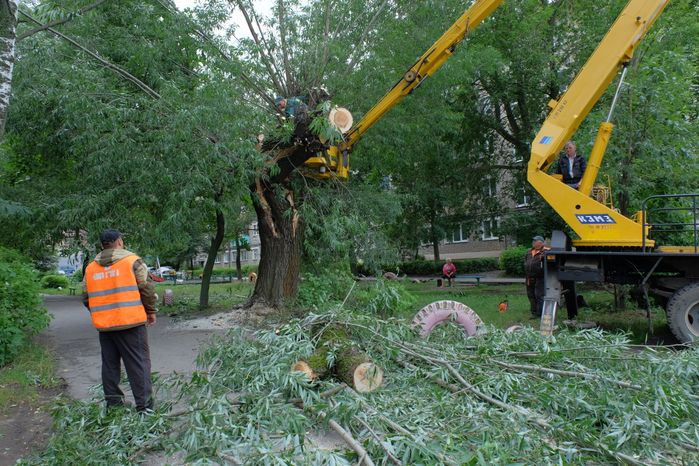 Последствия урагана в Павловском Посаде