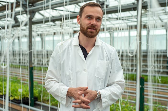 Теплицы крупного семеноводческого агропромышленного комплекса ООО «Агрофирма Партнер»