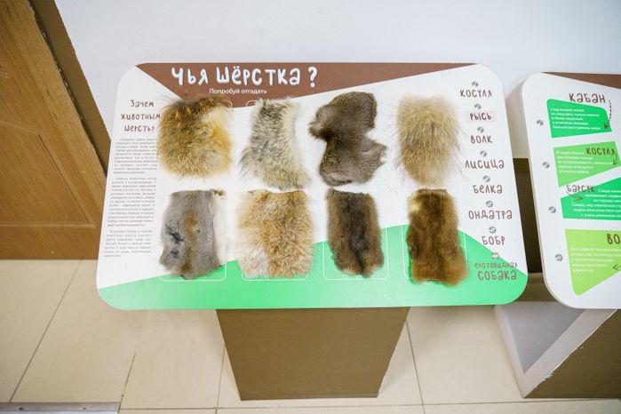 Ступино. Историко-краеведческий музей