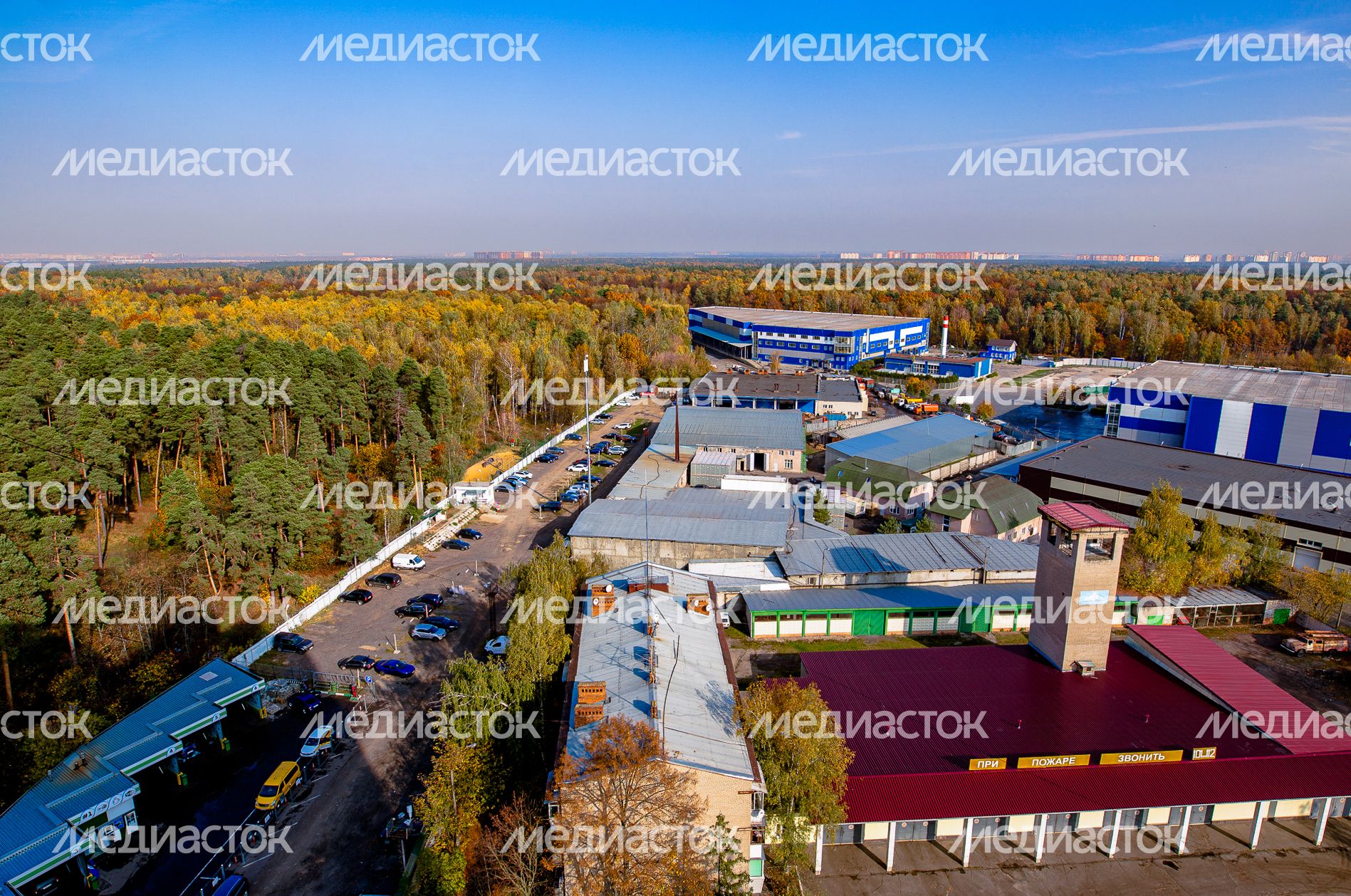 Осенние виды Томилинского лесопарка