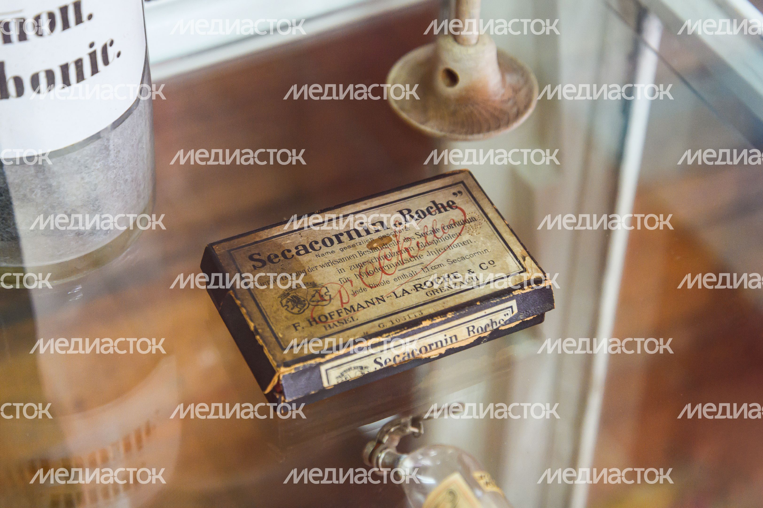Чехов. Музей-заповедник А.П. Чехова "Мелихово"