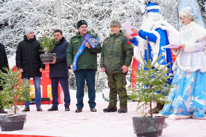 В Можайском городском округе спилили главную новогоднюю ель страны