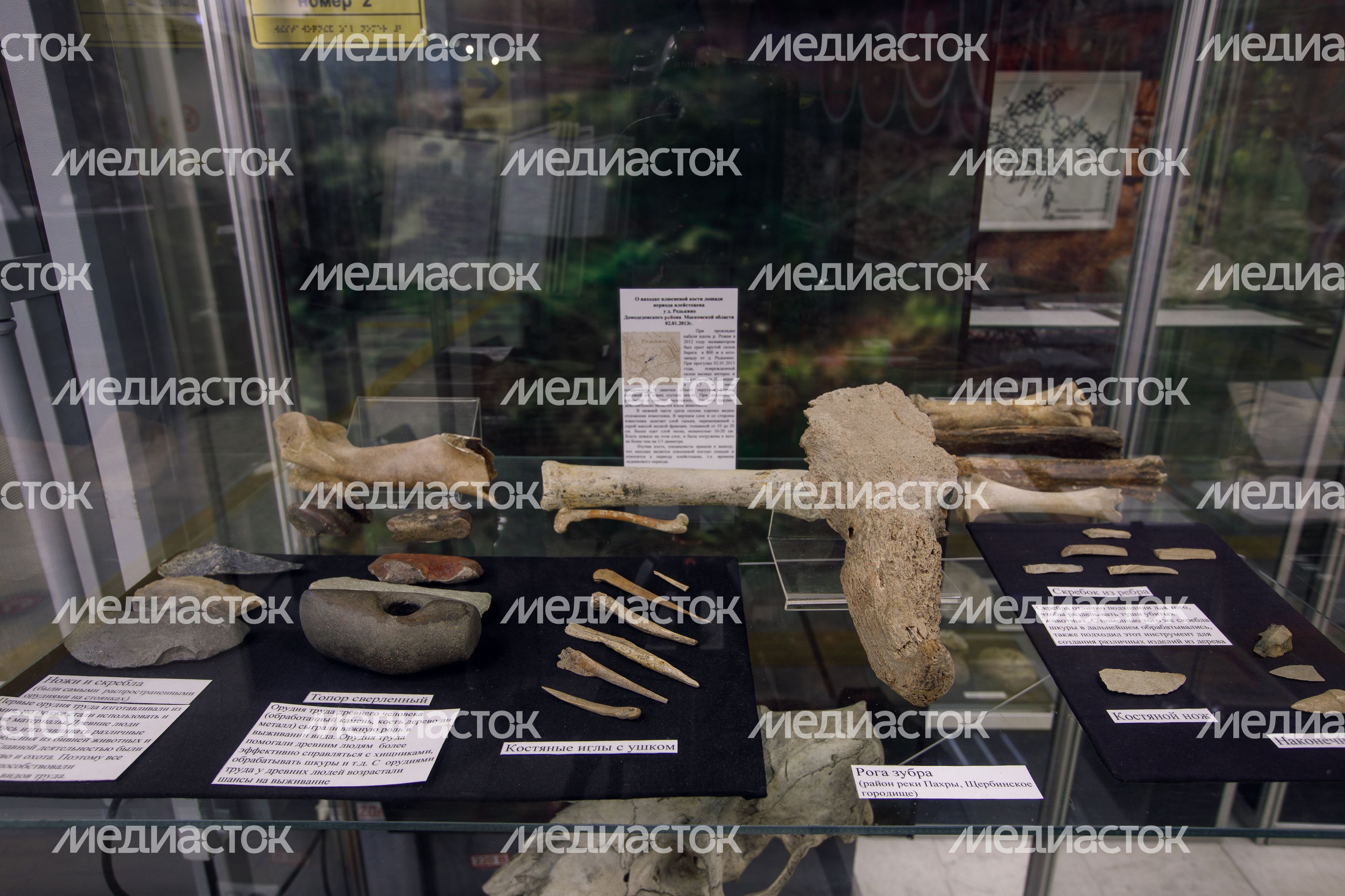 Историко-художественный музей в Домодедово Историко-художественный музей в Домодедово