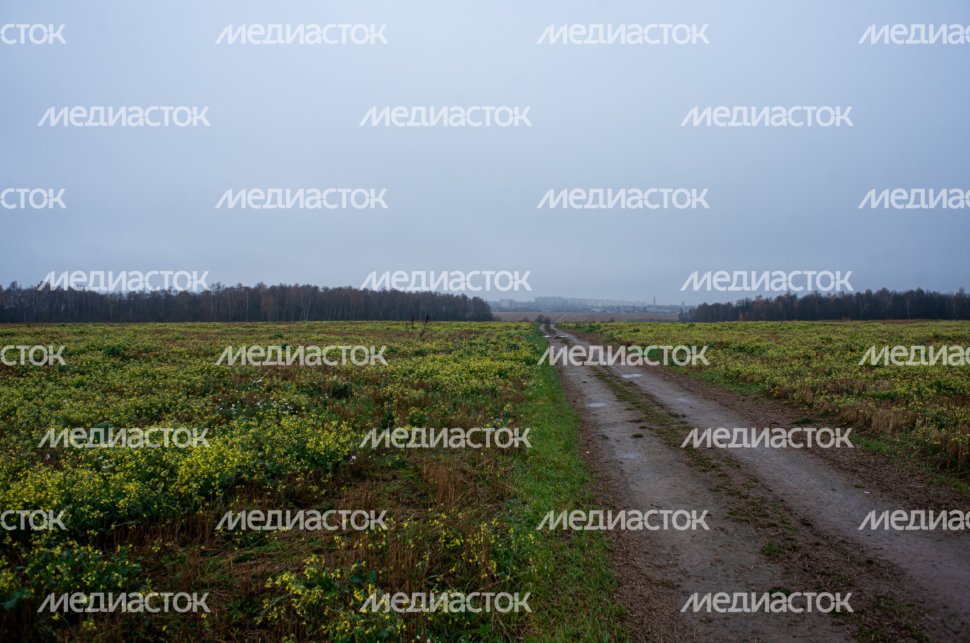 Окрестности Володарской каменоломни