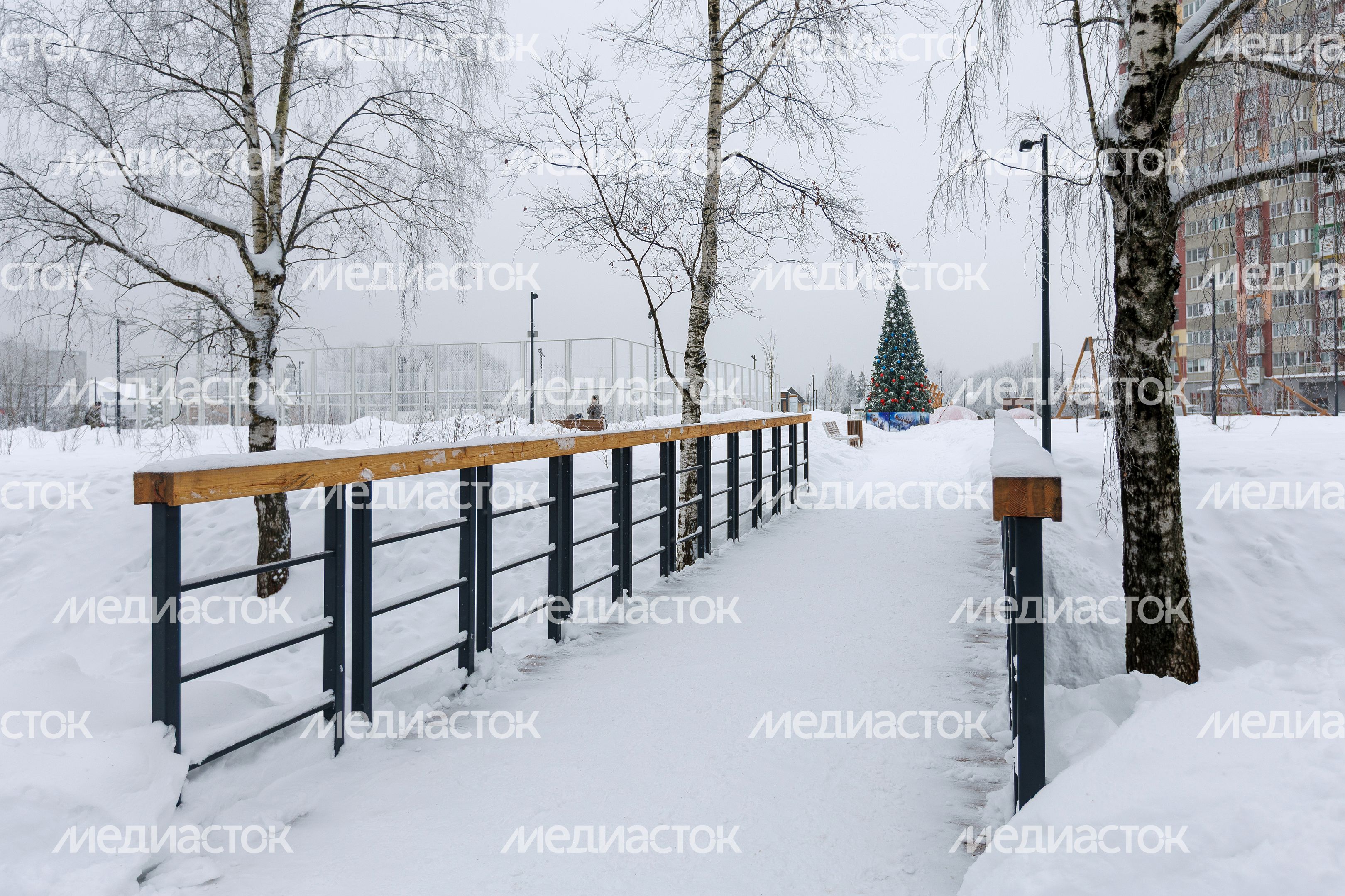 Зима в сквере Защитников Москвы в Лобне Зима в сквере Защитников Москвы в Лобне