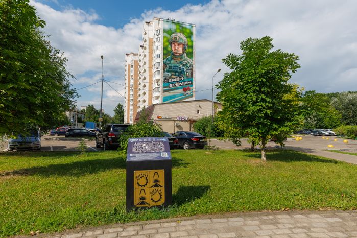 Муралы в Железнодорожном, Балашиха