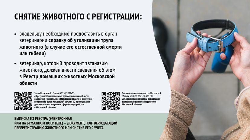 Зарегистрировать домашнее животное ред 2-горизонталь-10.png