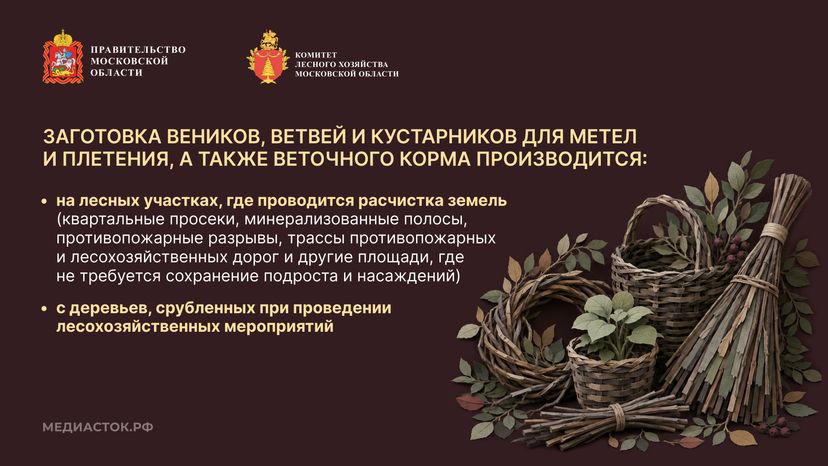Недревесные ресурсы для собственных нужд Горизонталь 07