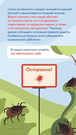 Как защититься от клещей вертикаль 02