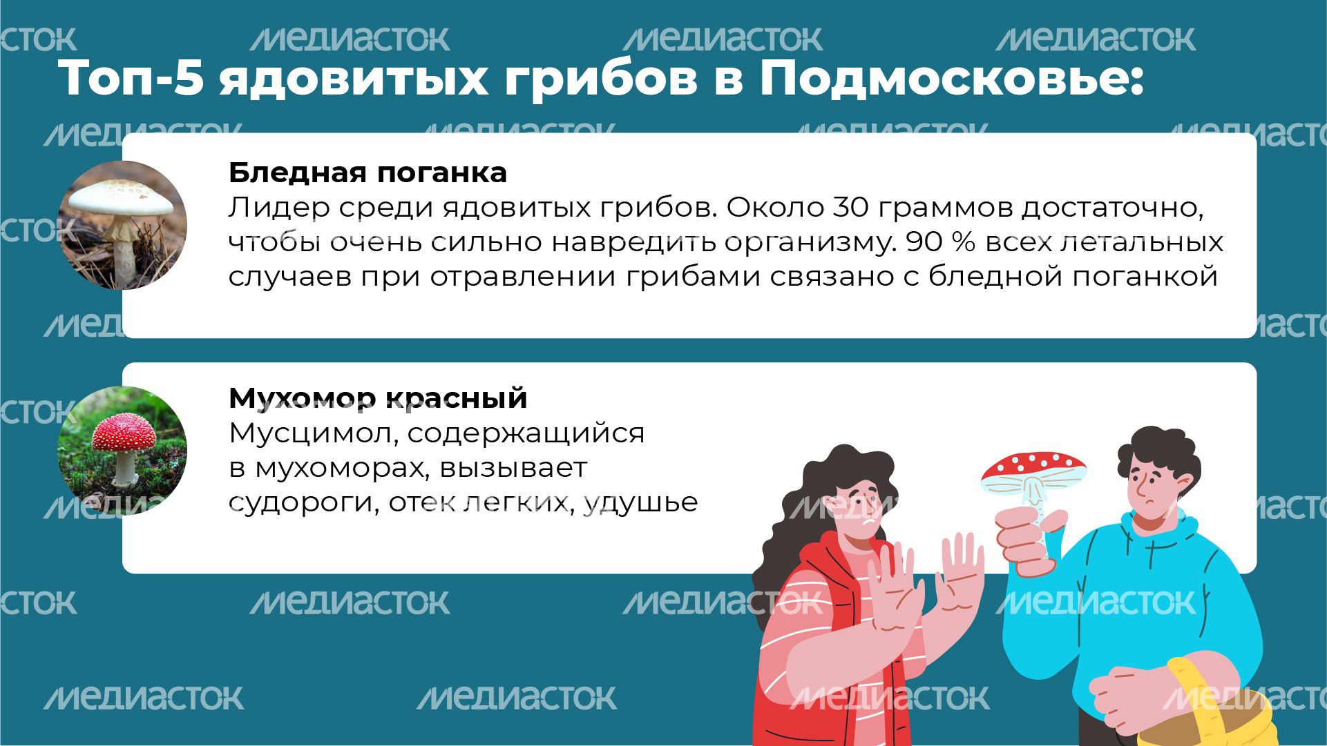 26 Горизонталь_грибы_04-100