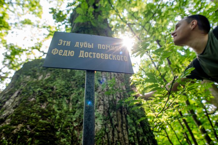 Летние виды музея-усадьбы Фёдора Михайловича Достоевского «Даровое»