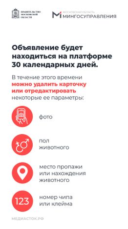 Домашние животные вертикаль 08