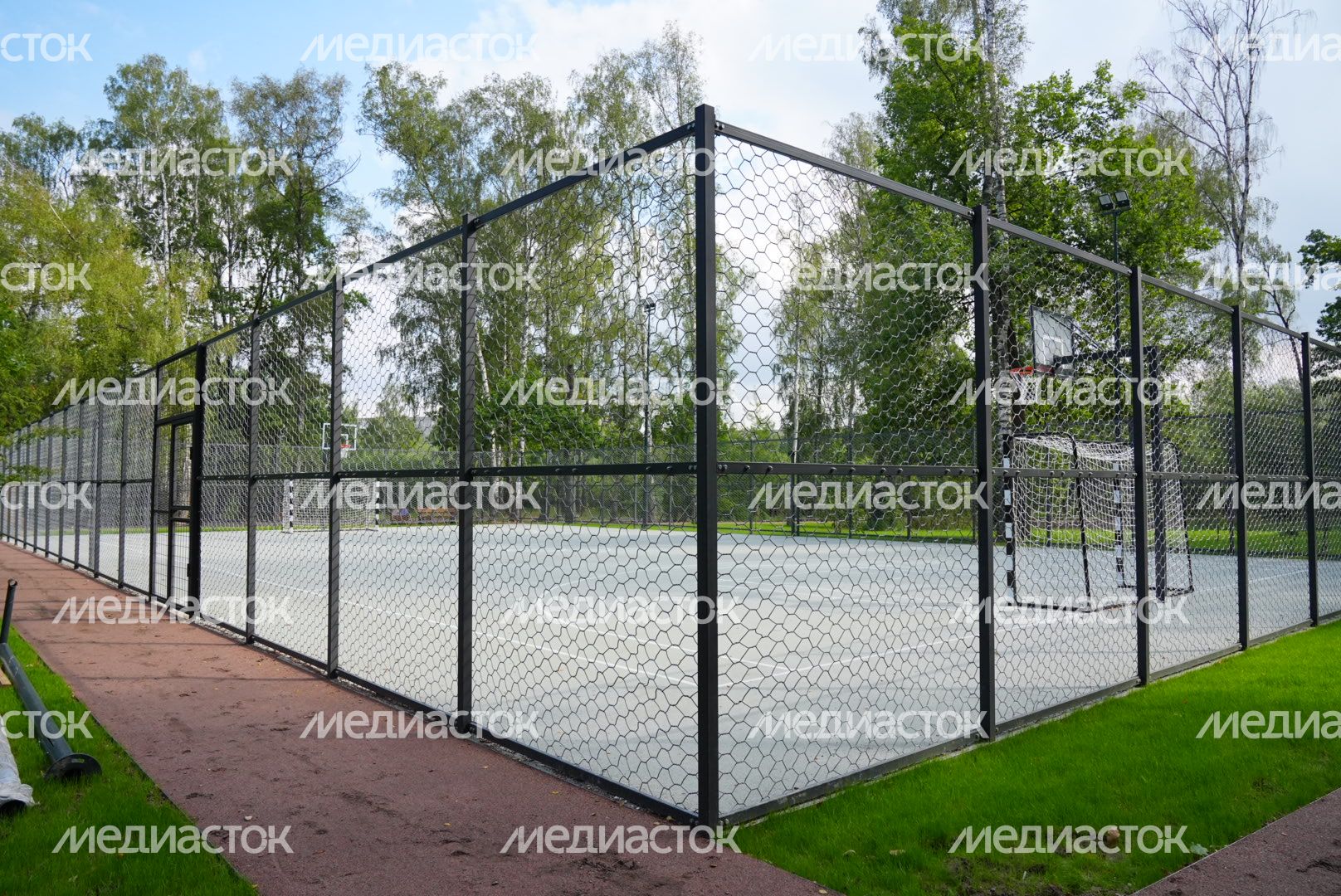 Посещение Фрязинского лесопарка Губернатором Подмосковья