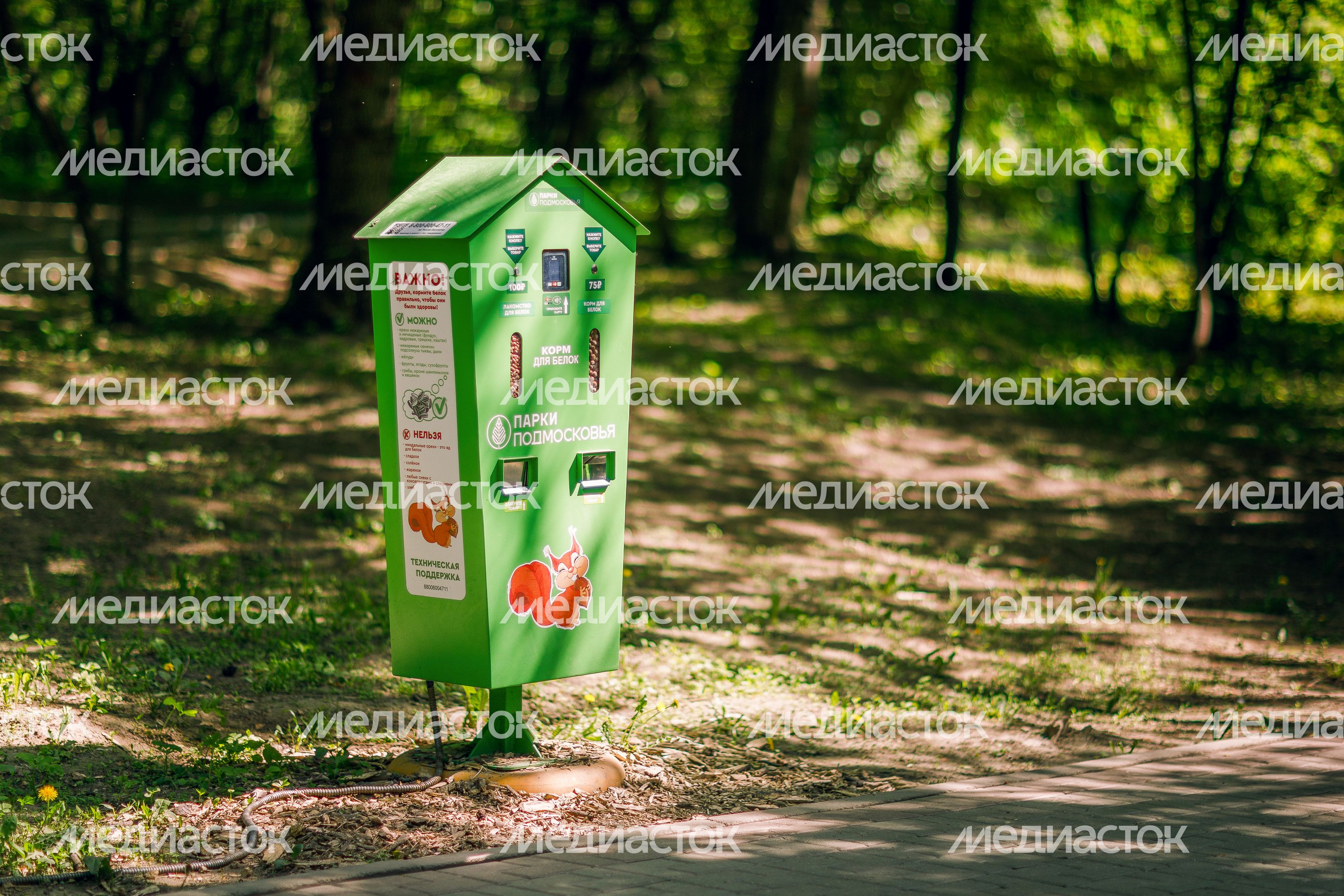 Тимоховский парк в городе Видное Ленинского округа Тимоховский парк в городе Видное Ленинского округа