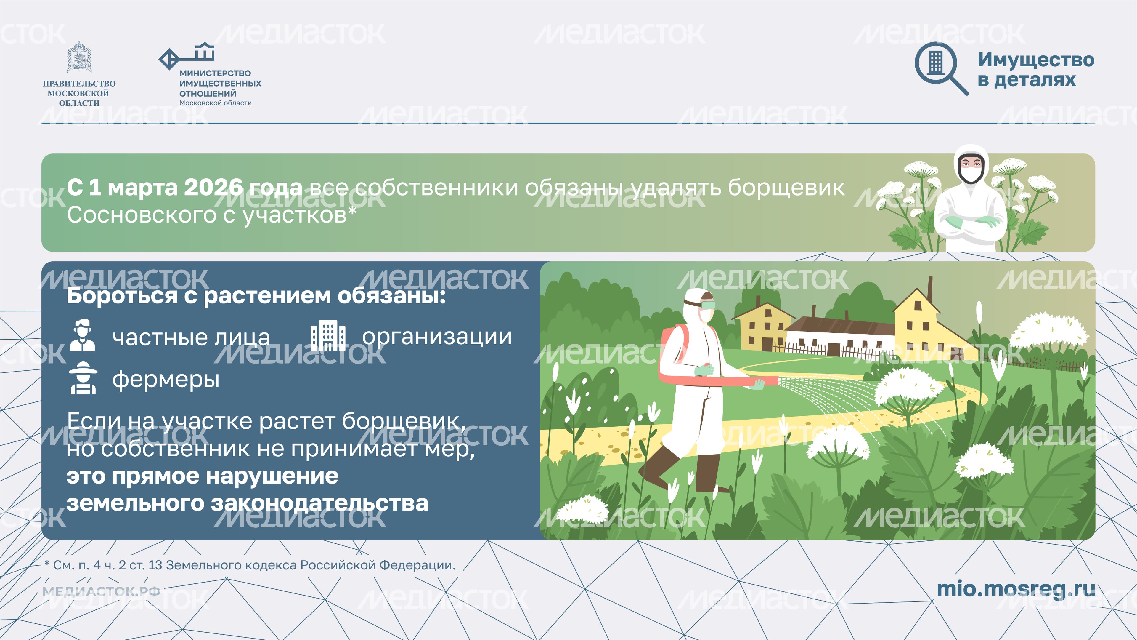 Борьба с борщевиком горизонталь 02 Борьба с борщевиком горизонталь 02