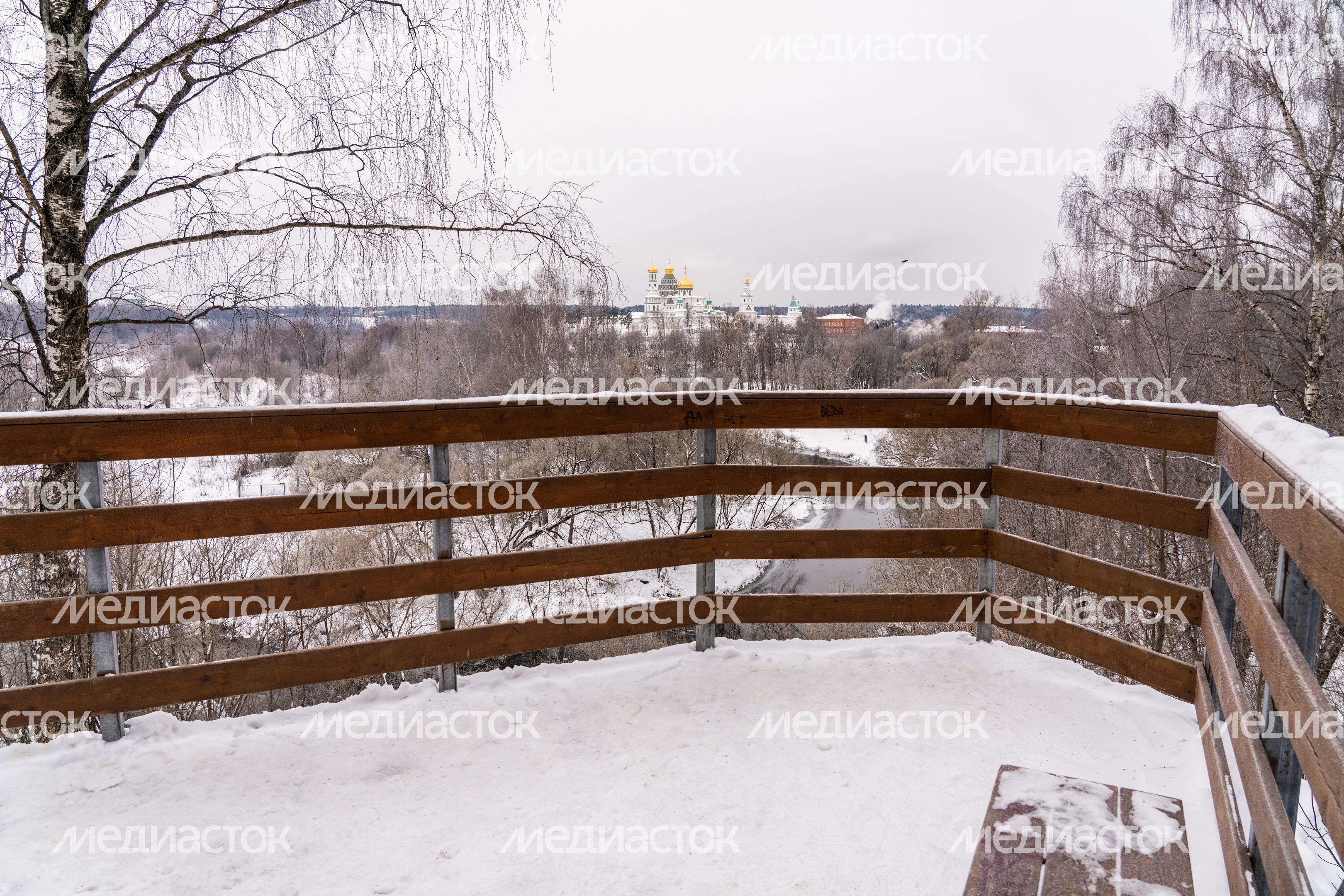 Истринский городской парк зимой Истринский городской парк зимой