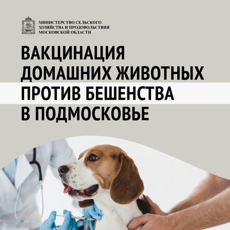Вакцинация