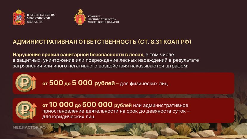 Санитарная безопасность в лесах горизонталь 04