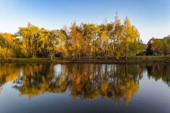Егорьевск. Егорьевский технологический институт