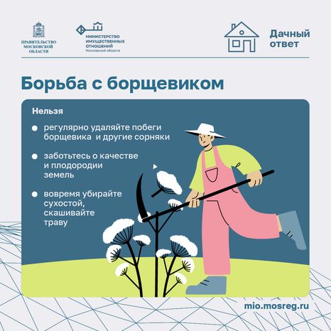 Дачный сезон штрафы-квадрат-05
