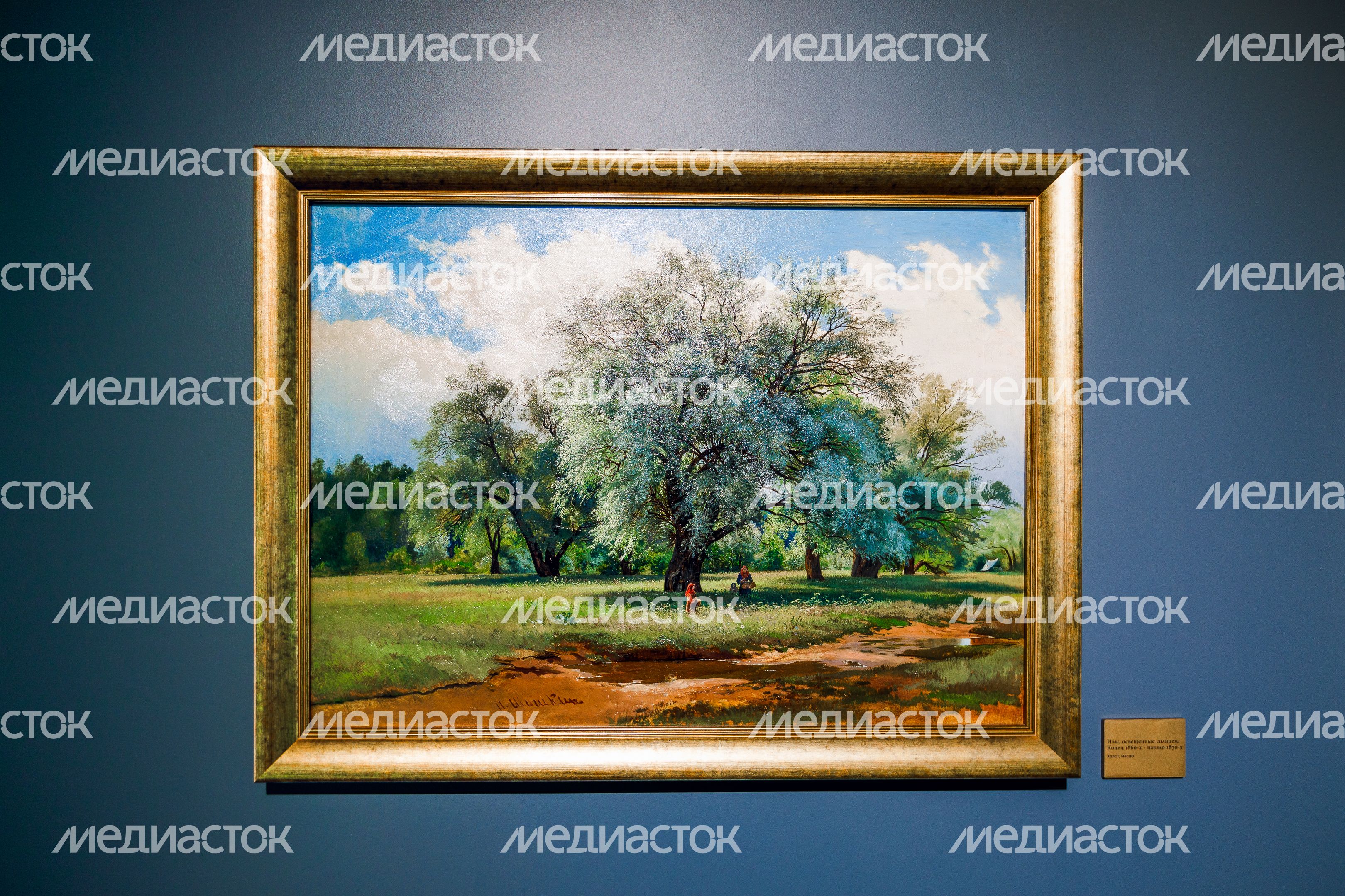 Крупнейшая выставка работ художника Ивана Шишкина в Звенигороде Крупнейшая выставка работ художника Ивана Шишкина в Звенигороде