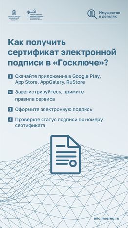 вертикали приложение госключ 04.png