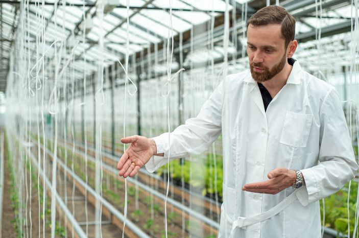 Теплицы крупного семеноводческого агропромышленного комплекса ООО «Агрофирма Партнер»
