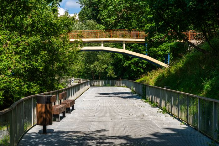 Новая туристическая тропа в Звенигороде – пешеходная зона «Малиновый овраг»