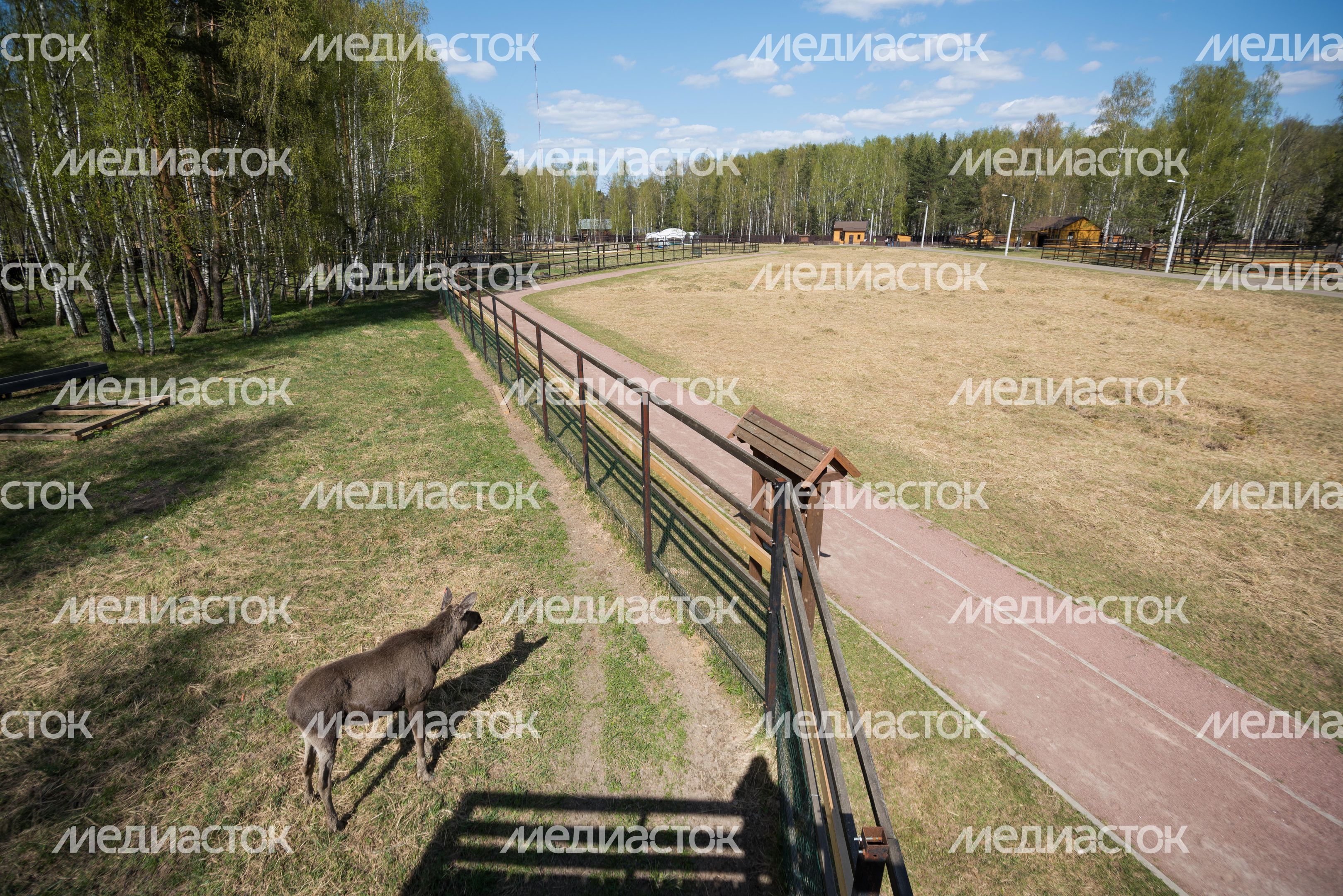 Национальный парк Лосиный остров
