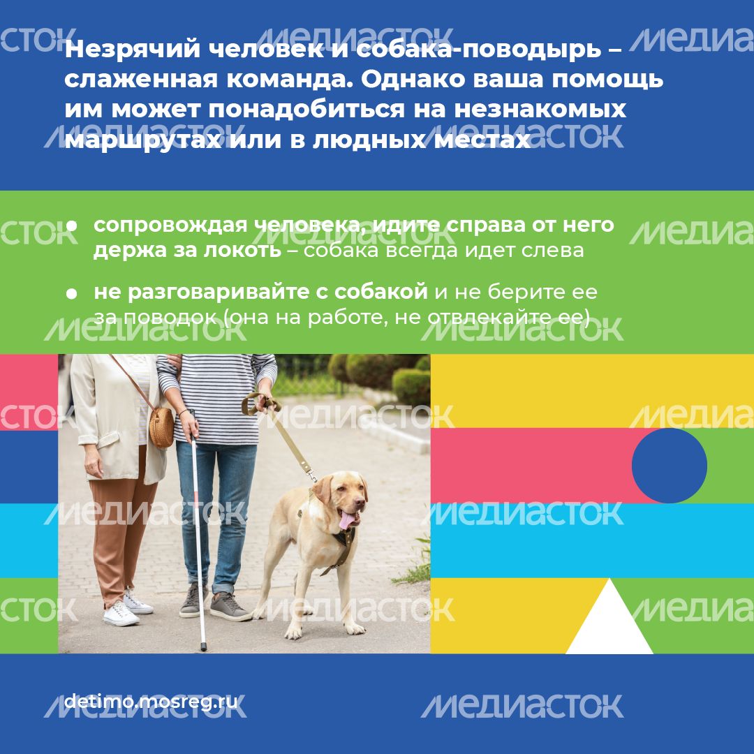 белая трость квадрат 10.png
