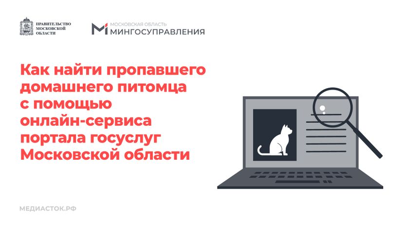Домашние животные горизонталь 01