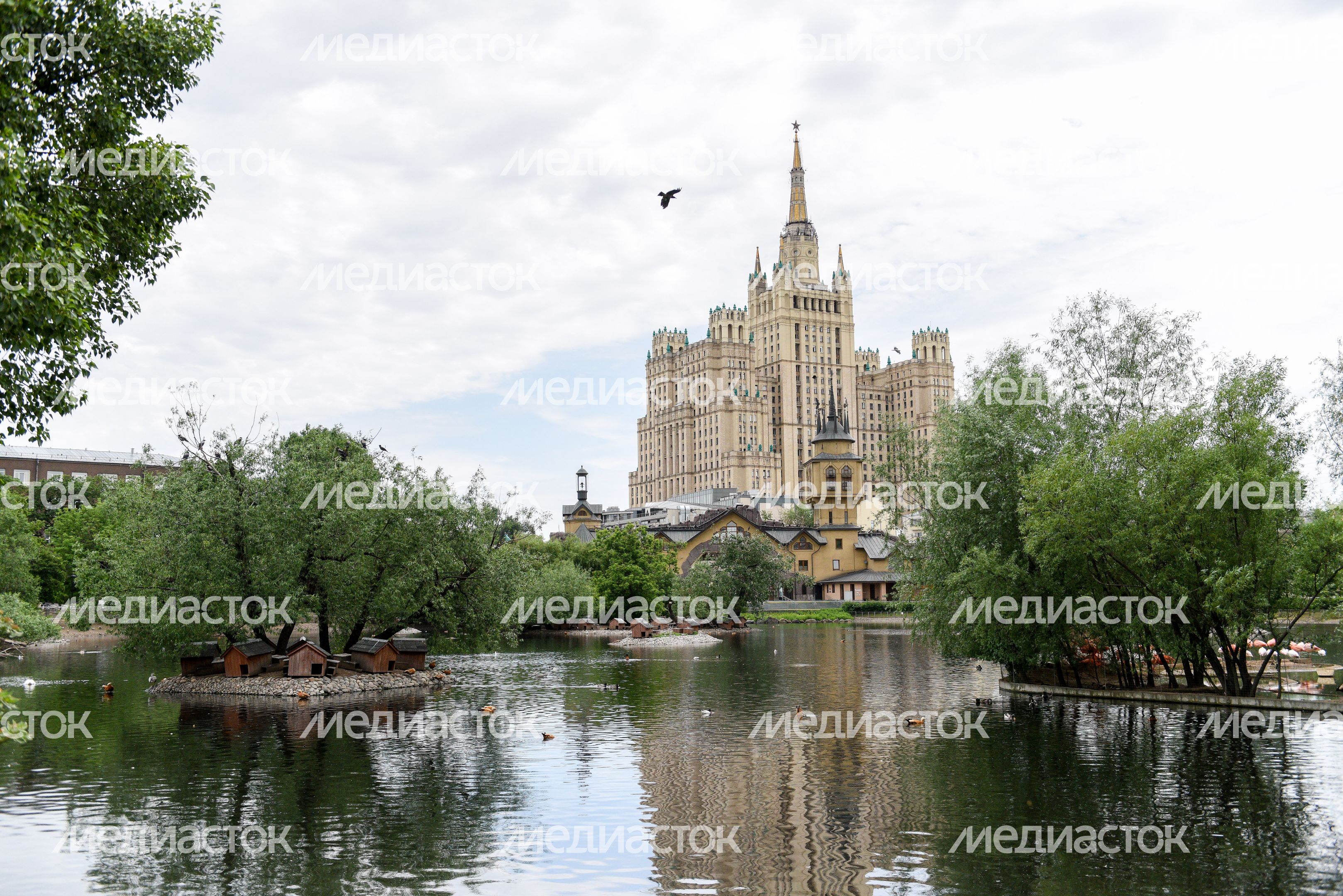 Подготовка к открытию Московского зоопарка после режима самоизоляции