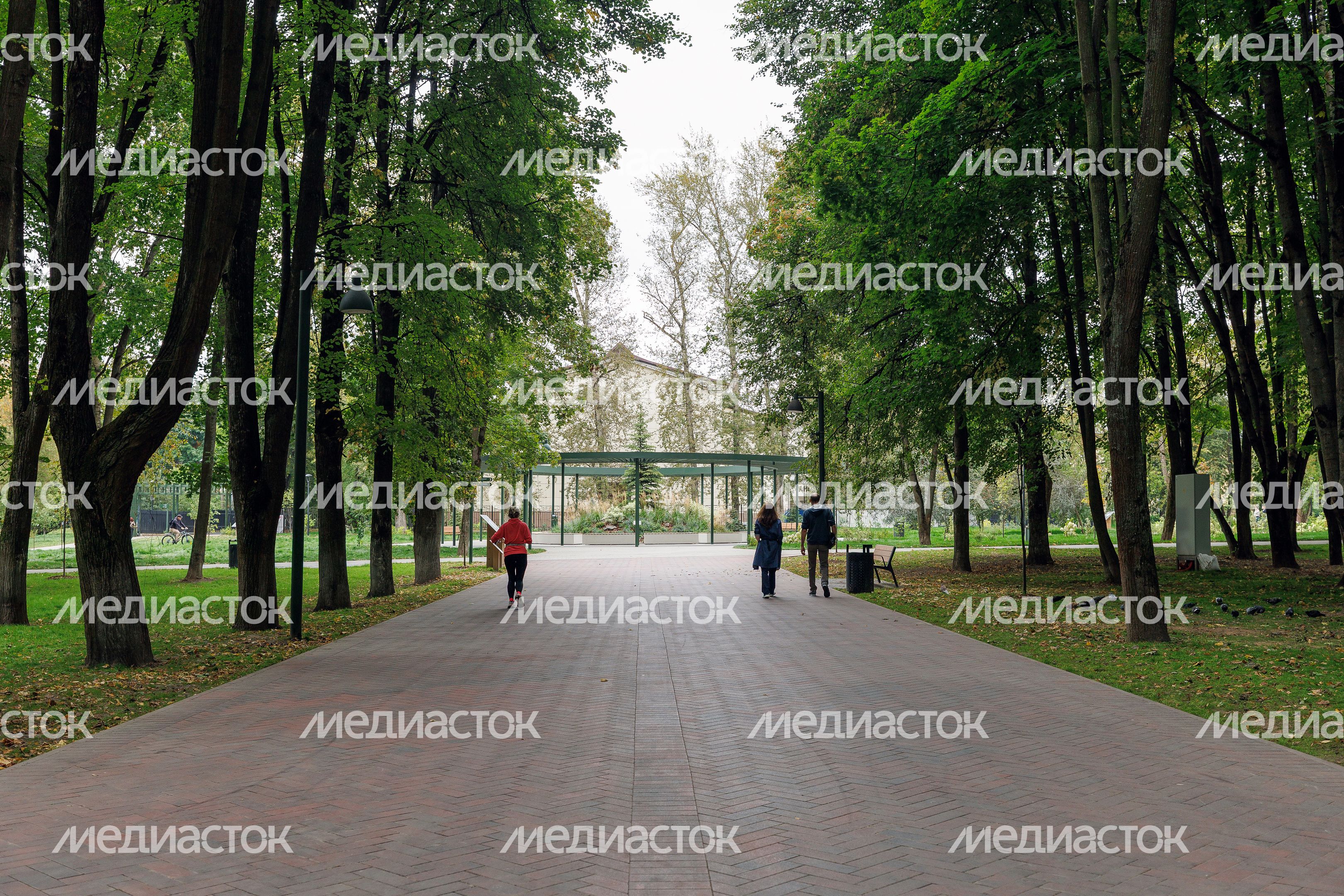 Щелковский центральный городской парк после благоустройства Щелковский центральный городской парк после благоустройства