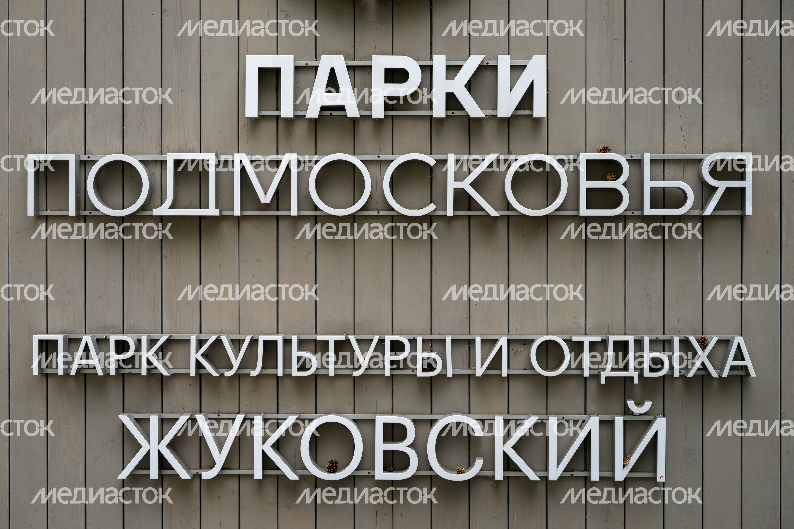 Центральный парк культуры и отдыха Жуковского летом
