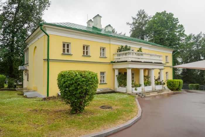 Пальмы и Розы Зинаиды Морозовой