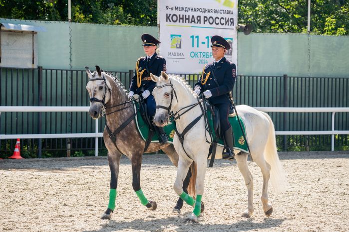 IV Чемпионат русских троек «Крылатое сердце России» в Одинцовском округе