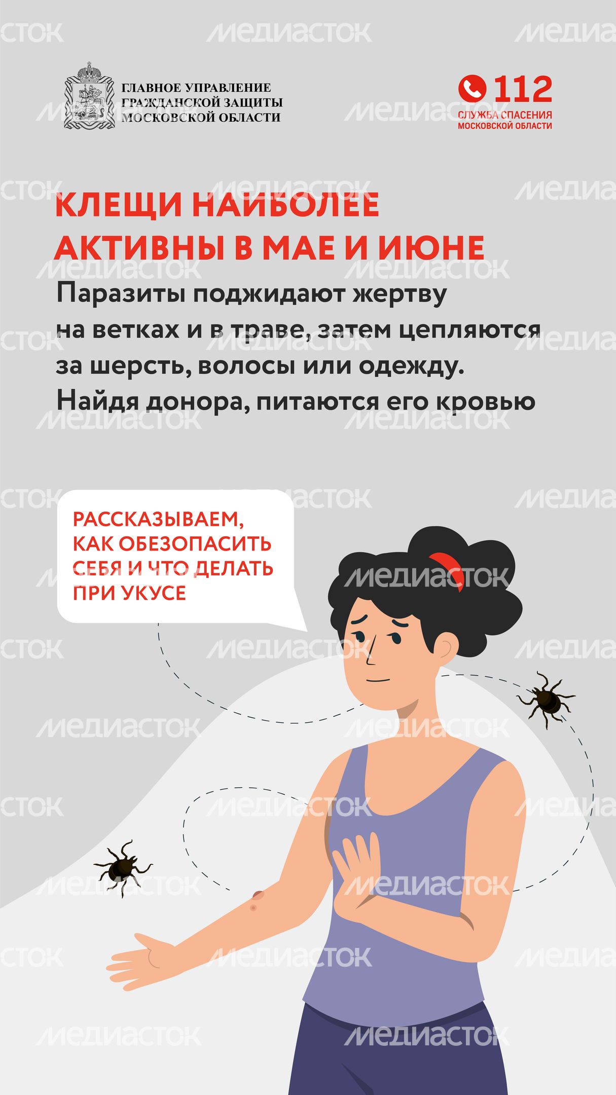 клещи_вертикаль_02